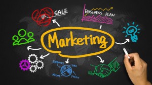 Marketing Skills Test 3