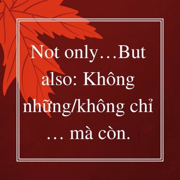 C u tr c not only but also ms hoa giao ti p